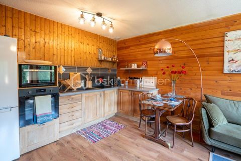   Charmant appartement type 3 avec balcon vue montagnes Appartement - 3 pi�ce(s) - 51 m�