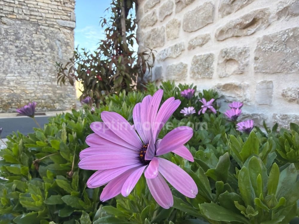 � vendre  Maison Le Bois-Plage-en-R� (17580)