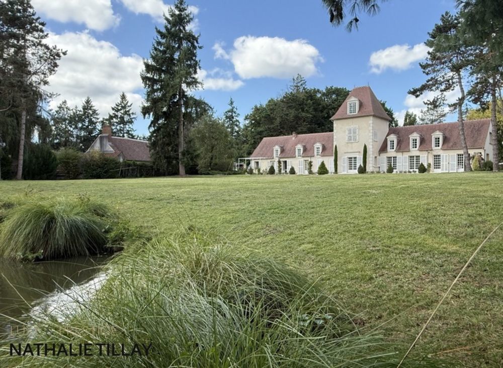 � vendre  Propri�t�/ch�teau Sandillon (45640)