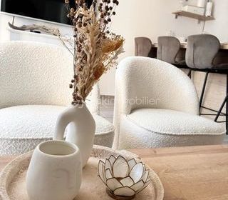  Appartement � vendre 3 pi�ces 57 m�