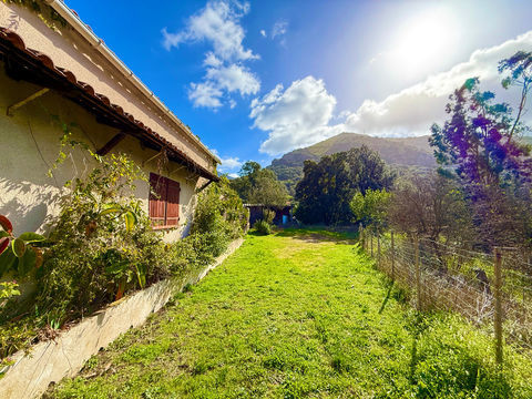   SAGONE (Corse) : Propriete � vendre, maison T4 + d�pendance avec 2 appartements T1, sur terrain plat de 5000m2 Propri�t�/ch�teau - 8 pi�ce(s) - 193 m�