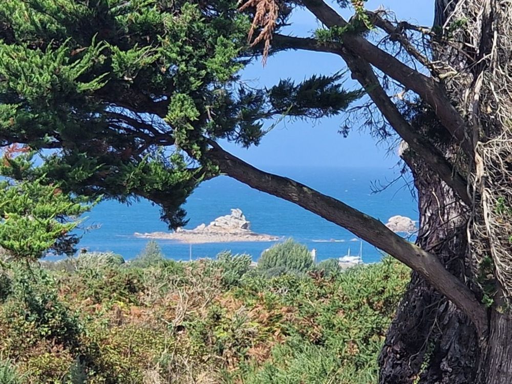 � vendre  Propri�t�/ch�teau Plougrescant (22820)