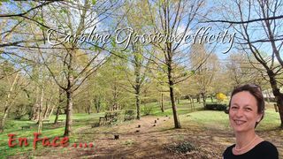  Terrain � vendre 593 m�