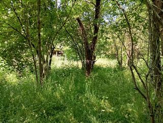  Maison � vendre 9 pi�ces 316 m�