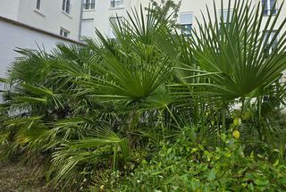  Appartement � vendre 2 pi�ces 46 m�