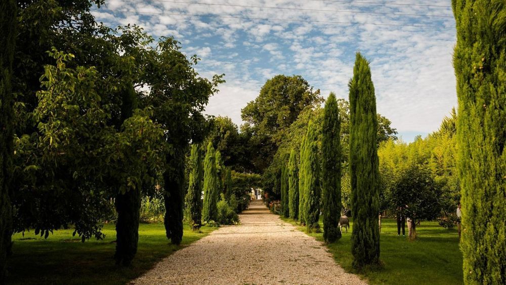 � vendre  Propri�t�/ch�teau Saint-�milion (33330)