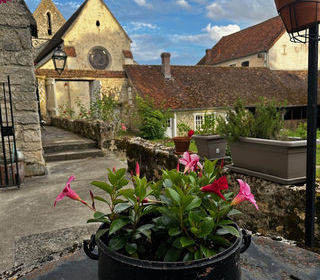  Propri�t�/ch�teau � vendre 13 pi�ces 380 m�