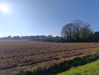  Maison � vendre 1 pi�ce 660 m�