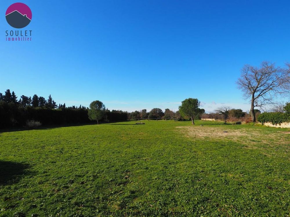 � vendre  Propri�t�/ch�teau Pernes-les-Fontaines (84210)