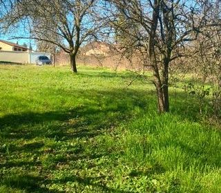  Terrain � vendre 884 m�