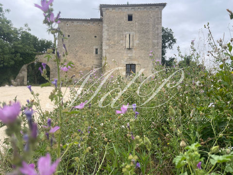   Propri�t� � vendre 10 pi�ces - Superbe vue Maison - 10 pi�ce(s) - 338 m�