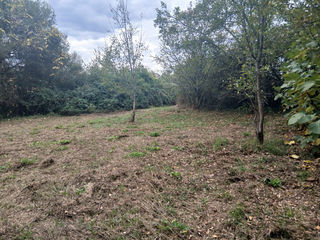  Terrain � vendre 3006 m�