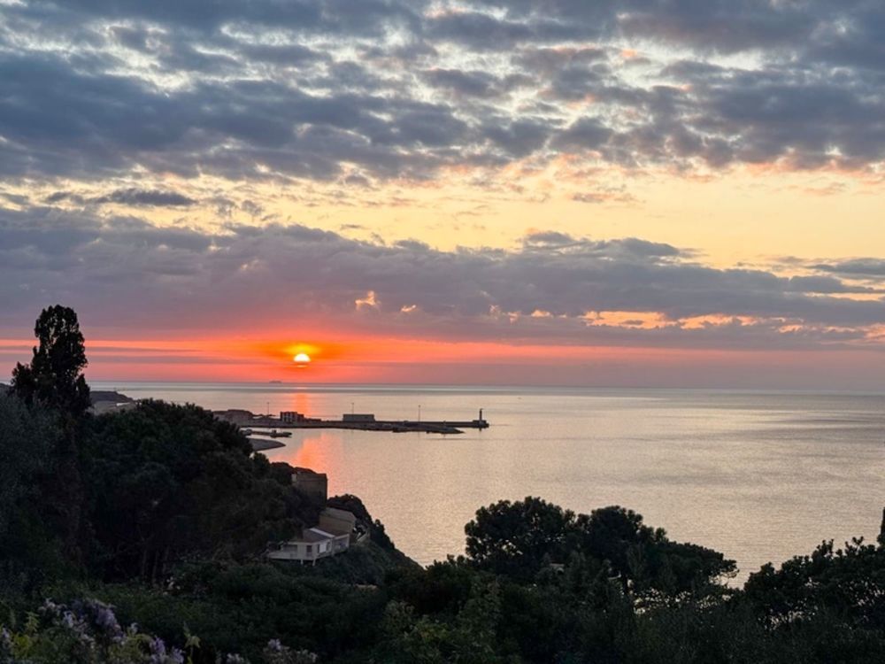 � vendre  Appartement Propriano (20110)