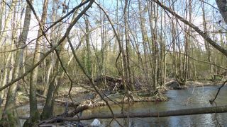  Terrain � vendre 2345 m�