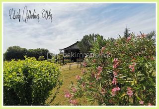  Immeuble � vendre 15 + pi�ces 300 m�