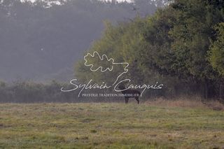  Propri�t�/ch�teau � vendre 15 + pi�ces 800 m�