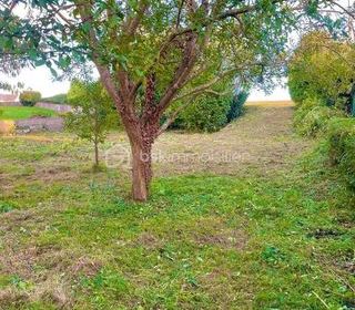  Terrain � vendre 567 m�