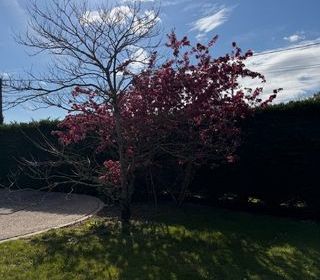  Maison � vendre 4 pi�ces 110 m�