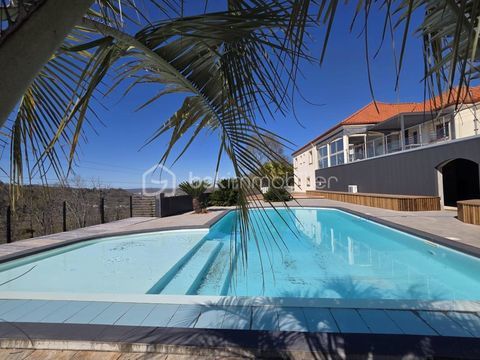   Villa d'exception avec vue imprenable sur les Pyr�n�es Villa - 7 pi�ce(s) - 250 m�