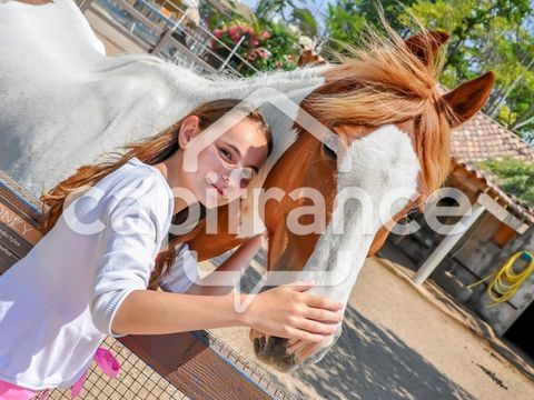 Bouches-du-Rh&ocirc;ne (13) SAINTES MARIES DE LA MER (13460) &agrave; vendre fonds de commerce de Promenade &agrave; Cheval 10 000 m 2 429000 13460 Saintes maries de la mer