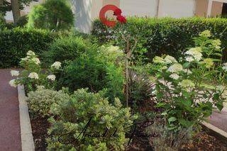  Appartement � vendre 4 pi�ces 83 m�