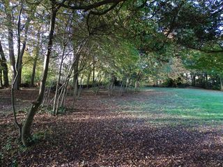  Terrain � vendre 8124 m�