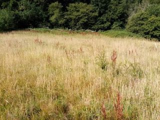  Terrain � vendre 1200 m�