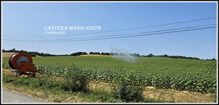  Propri�t�/ch�teau � vendre 1 pi�ce 860 m�