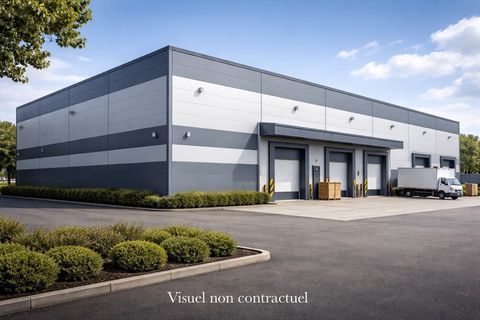LOCAL D'ACTIVIT&Eacute; DE PLUS DE 1200 M&sup2; ENTI&Egrave;REMENT &Eacute;QUIP&Eacute; ET SITU&Eacute; EN ZONE DYNAMIQUE 1490500 31830 Plaisance du touch
