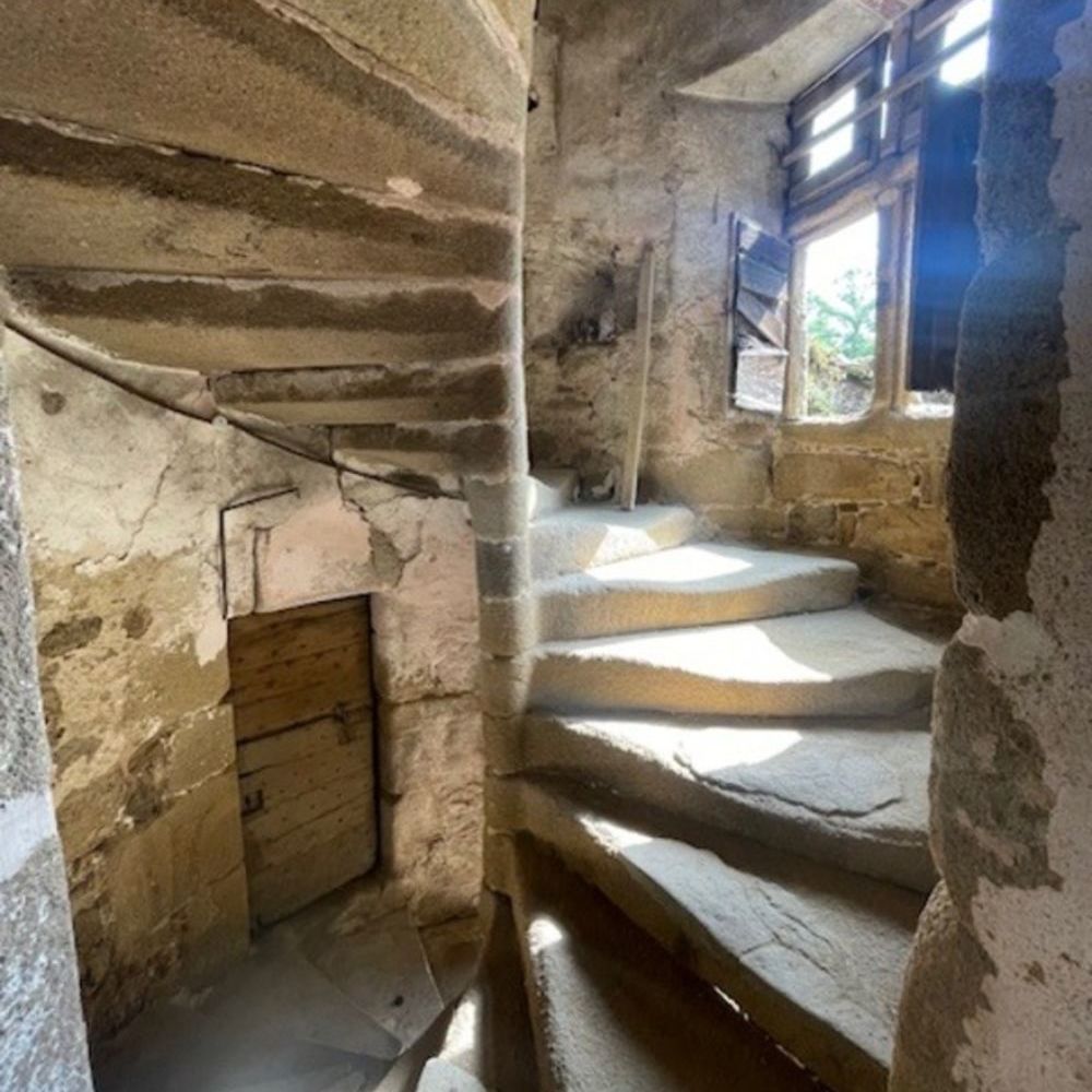 � vendre  Propri�t�/ch�teau Aubin (12110)