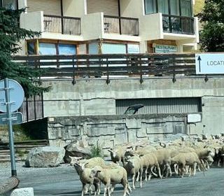  Appartement � vendre 1 pi�ce 20 m�