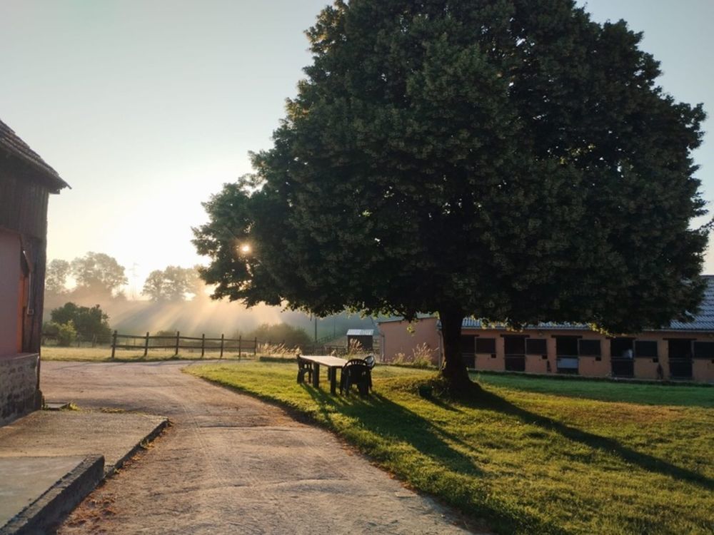 � vendre  Propri�t�/ch�teau Pervench�res (61360)