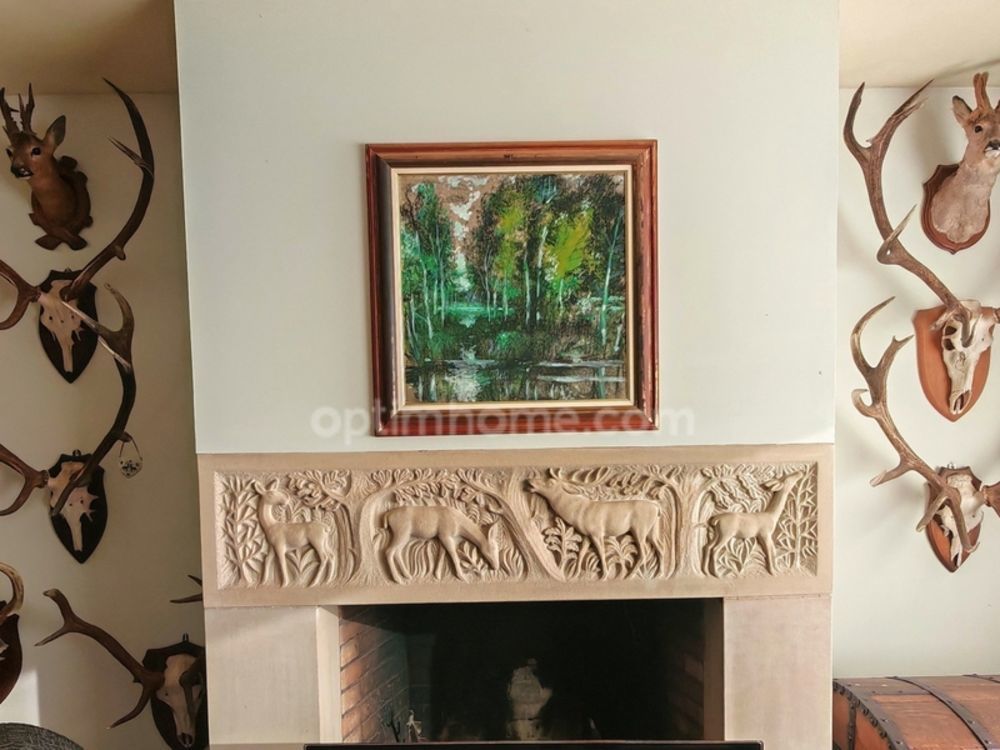 � vendre  Villa Oberhausbergen (67205)