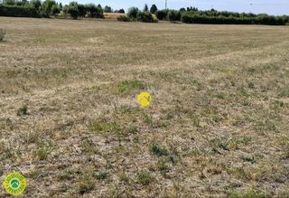  Terrain � vendre 2001 m�