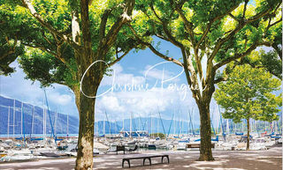  Appartement � vendre 3 pi�ces 78 m�