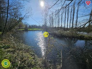  Propri�t�/ch�teau � vendre 11 pi�ces 204 m�