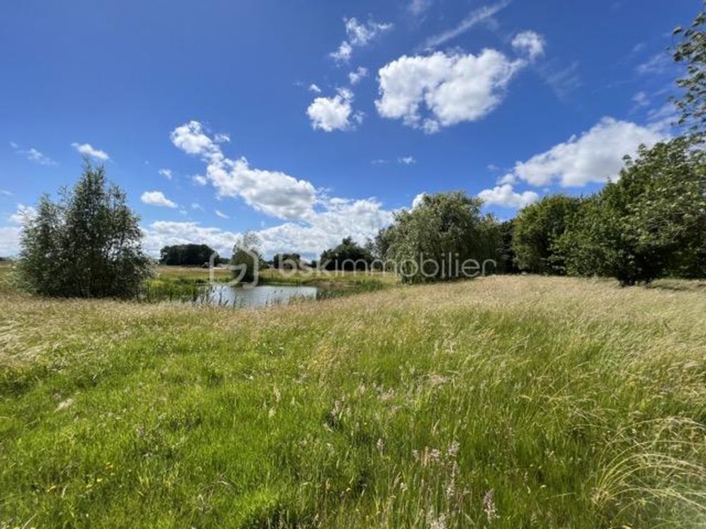 � vendre  Propri�t�/ch�teau Fontenay-Tr�signy (77610)