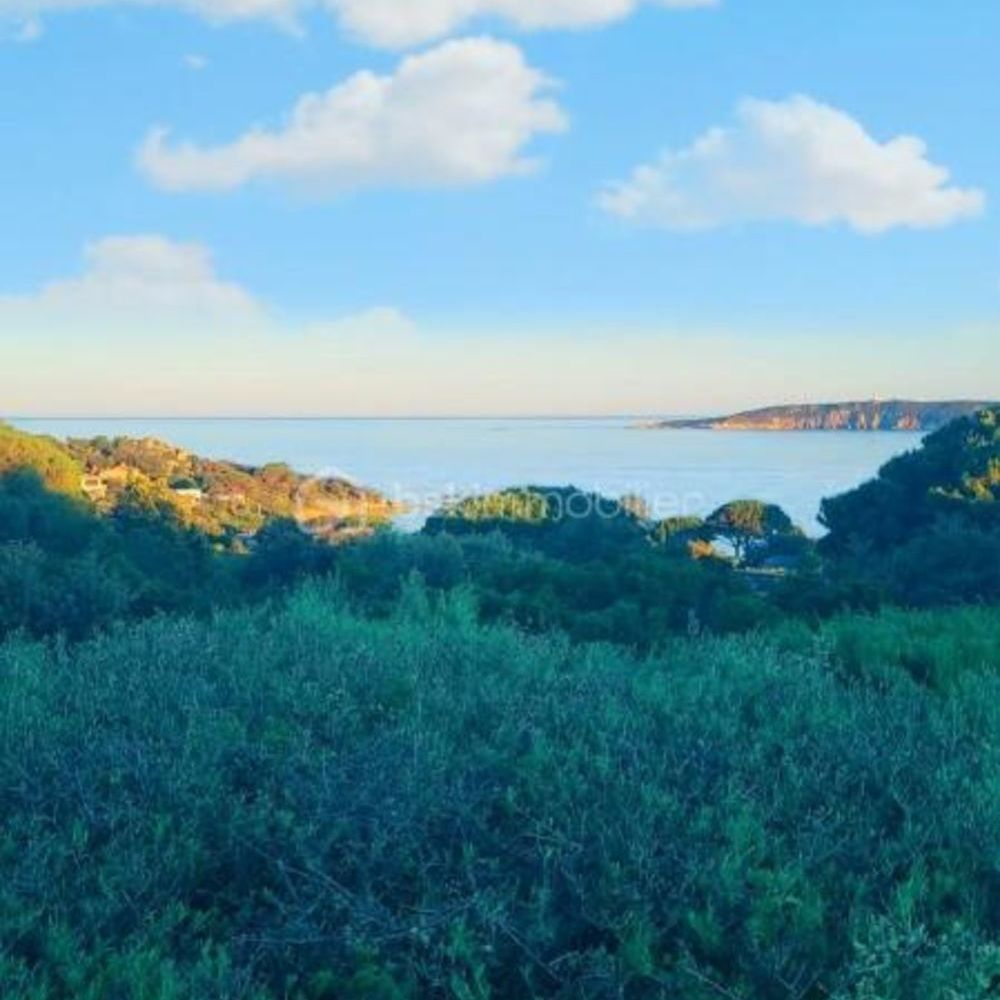 � vendre  Villa Lecci (20137)