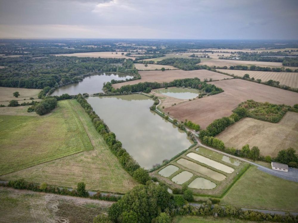 � vendre  Propri�t�/ch�teau Poitiers (86000)