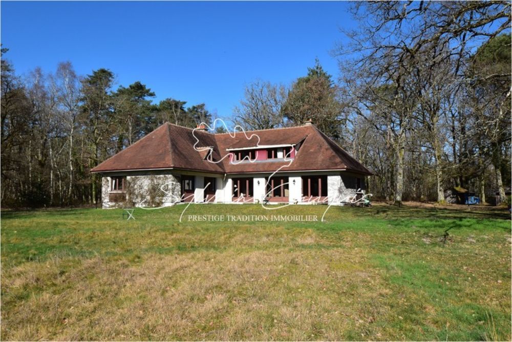 � vendre  Propri�t�/ch�teau Lamotte-Beuvron (41600)