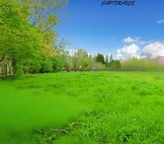  Terrain � vendre 2404 m�