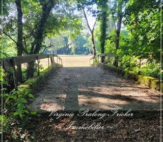  Propri�t�/ch�teau � vendre 9 pi�ces 350 m�