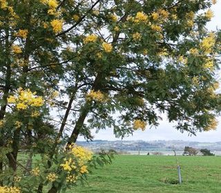  Maison � louer 5 pi�ces 73 m� Saint dolay