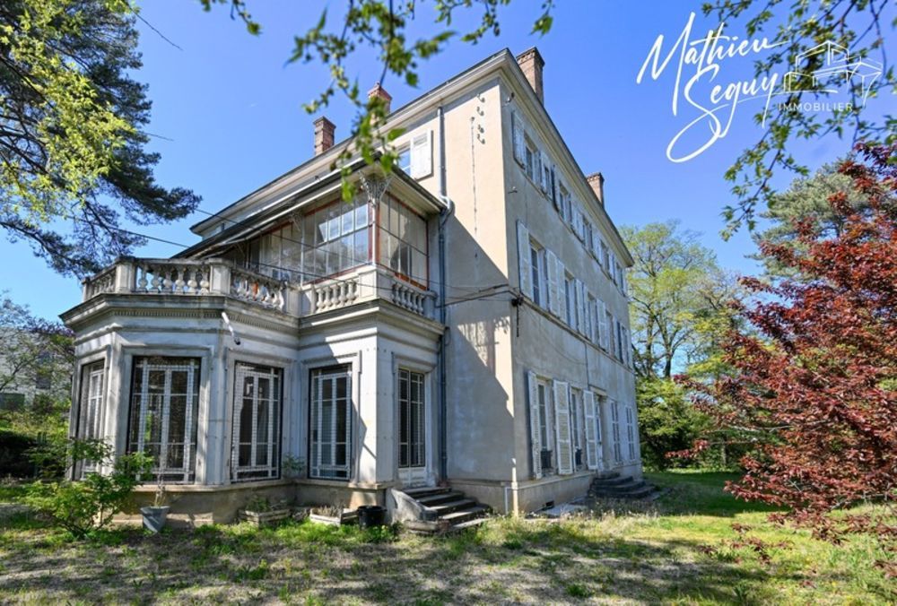 � vendre  Propri�t�/ch�teau Vernaison (69390)