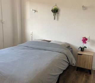  Appartement � louer 3 pi�ces 56 m�