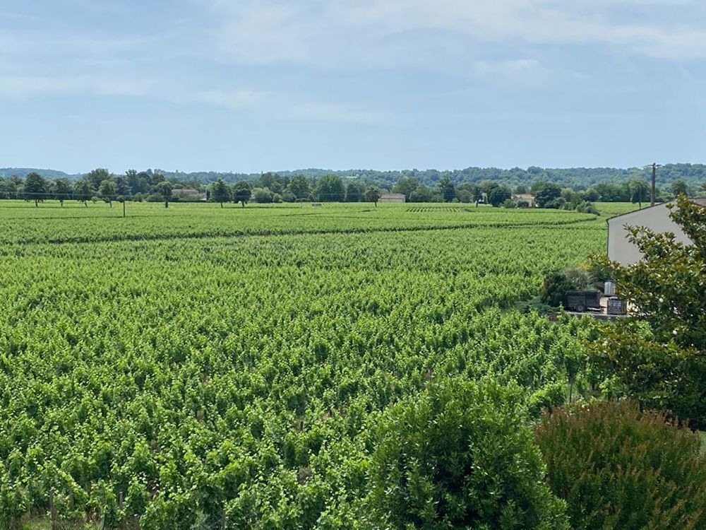 � vendre  Propri�t�/ch�teau Vignonet (33330)