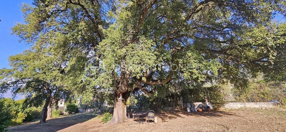 � vendre  Villa Cuttoli-Corticchiato (20167)