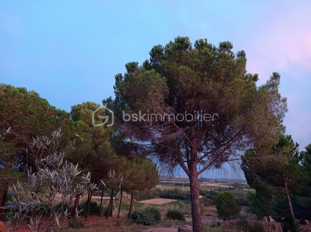 � vendre  Villa Maraussan (34370)