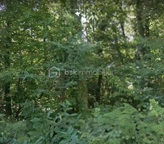  Terrain � vendre 4033 m�