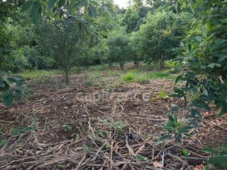  Terrain � vendre 1043 m�